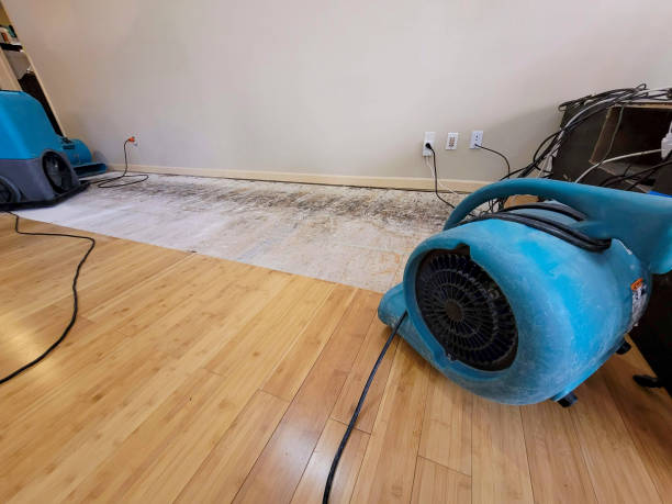 Professional Basement Flood Cleanup technician working in Allenhurst, NJ